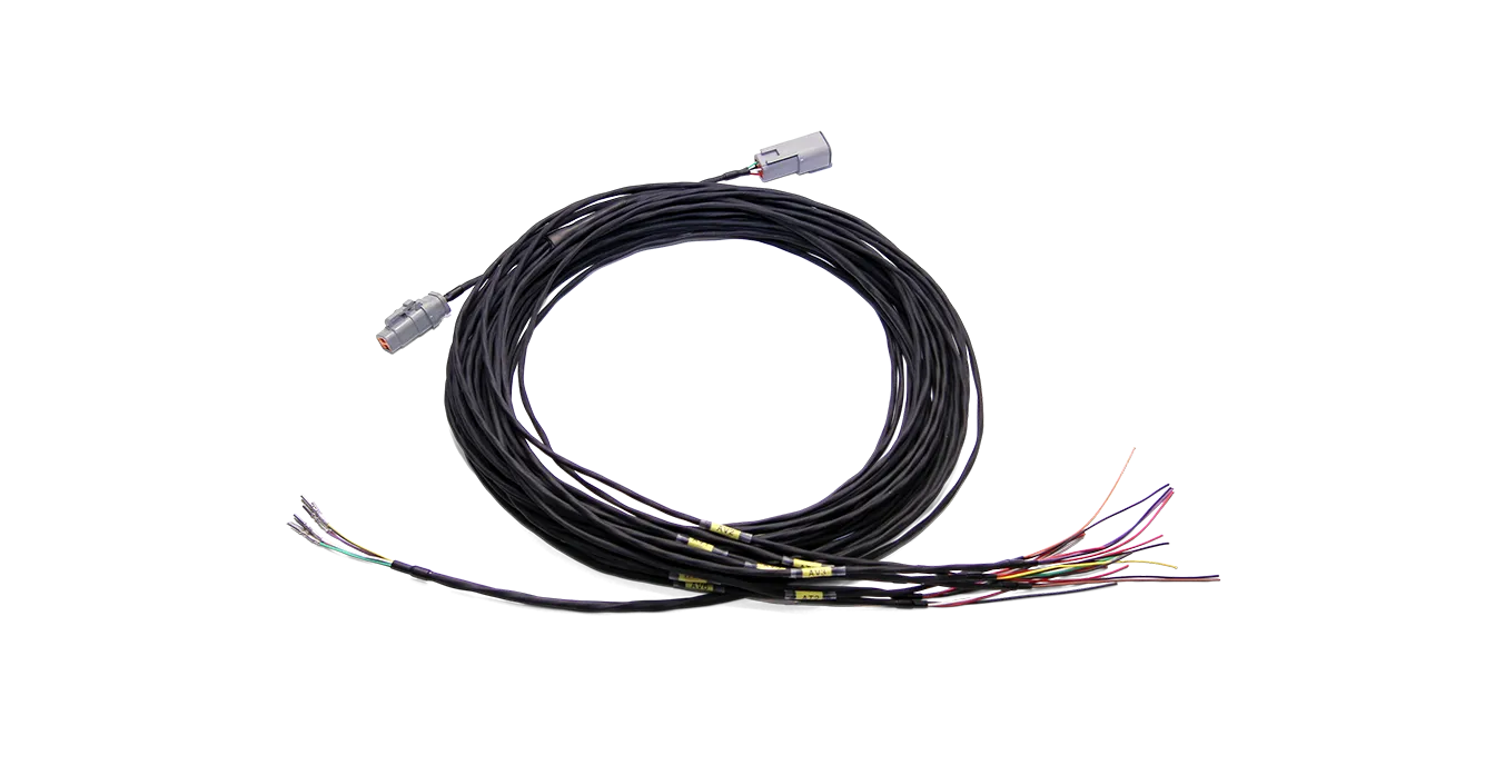 MoTeC C12X INPUT LOOM