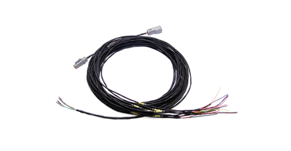 MoTeC C12X INPUT LOOM
