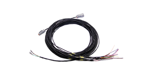 MoTeC C12X INPUT LOOM